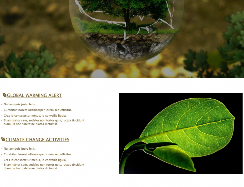 ecology-template-tech-news-tutorials-resources
